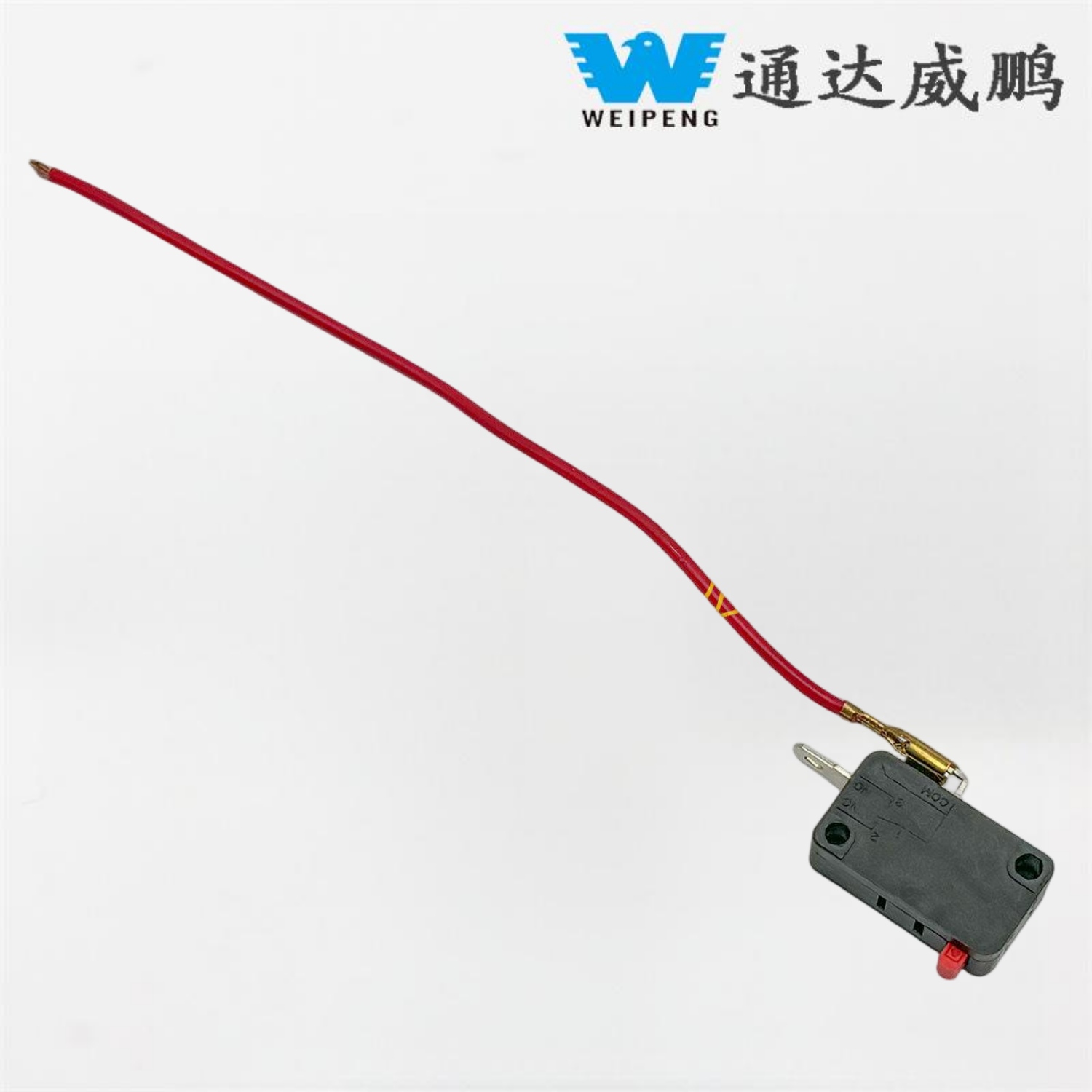 Πλυντήριο αυτοκινήτων με ενσύρματο μικροδιακόπτη